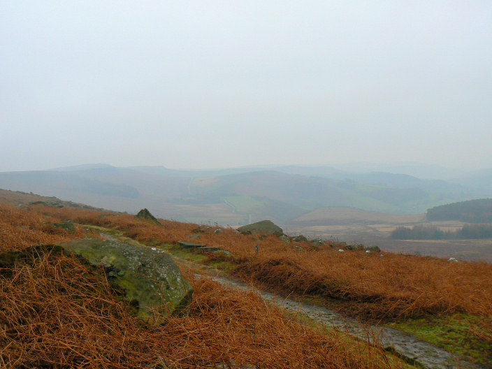 Cattis-side Moor Cattis-side Moor